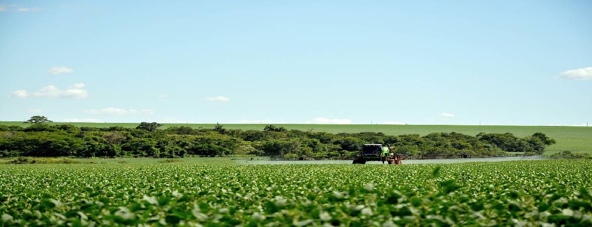 O que é glifosato? Veja vantagens e desvantagens desse herbicida!