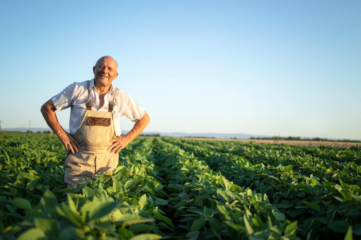 Quais os principais tipos de crédito rural? Guia completo!