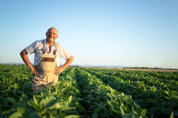 Quais os principais tipos de crédito rural? Guia completo!